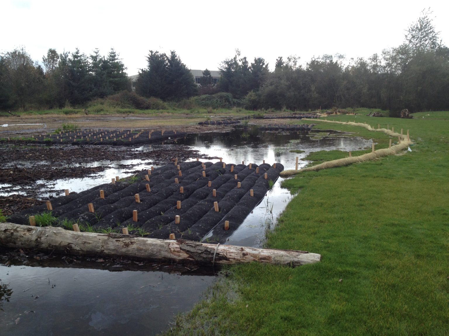 wetland-mitigation-terra-dynamics-inc